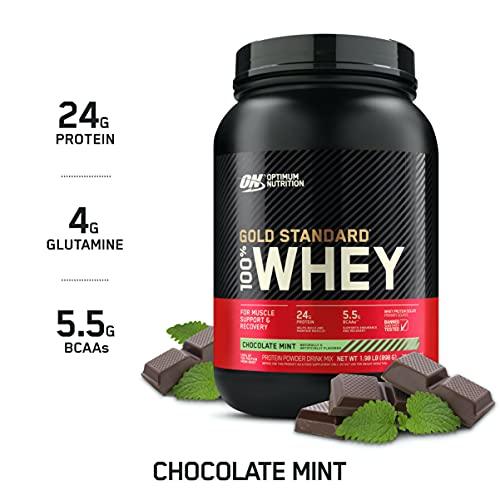 Optimum Nutrition Gold Standard 100% Whey Protein Powder